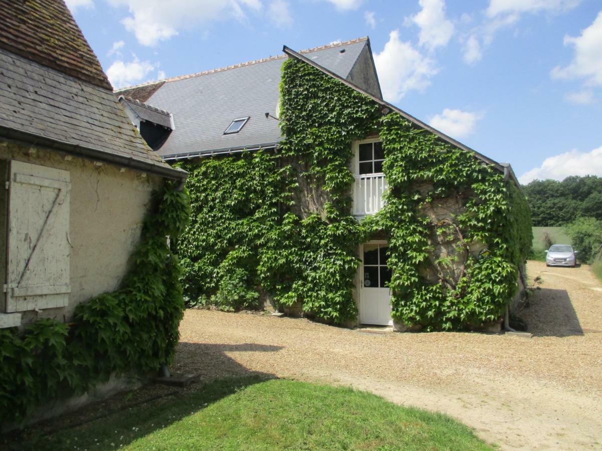 Chambres D'Hotes La Ferme Du Grand Launay Semblançay Dış mekan fotoğraf